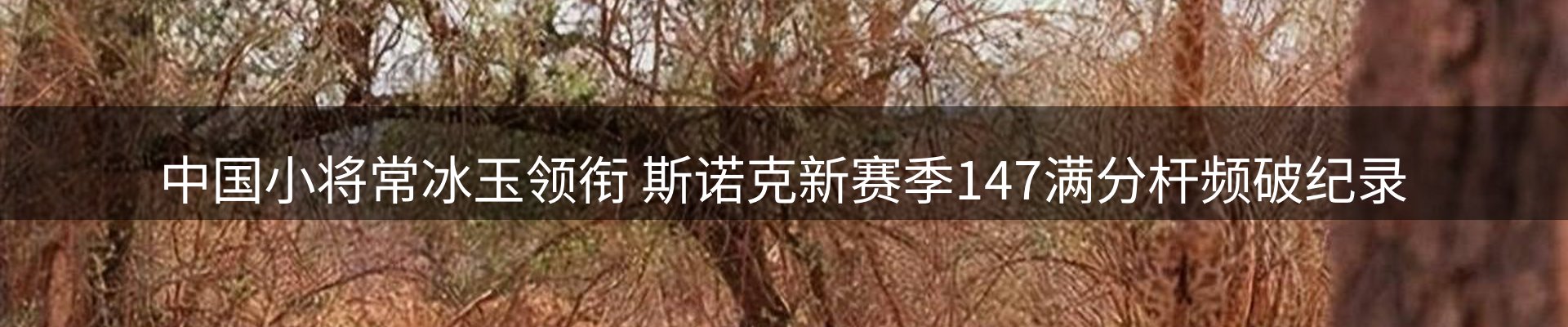 新闻动态