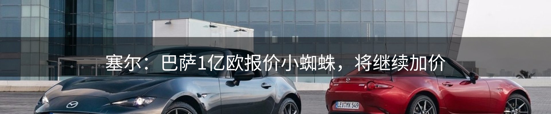 新闻动态